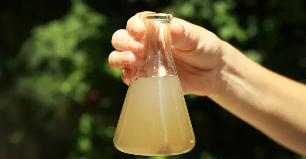 What are the health risks of contaminated water?